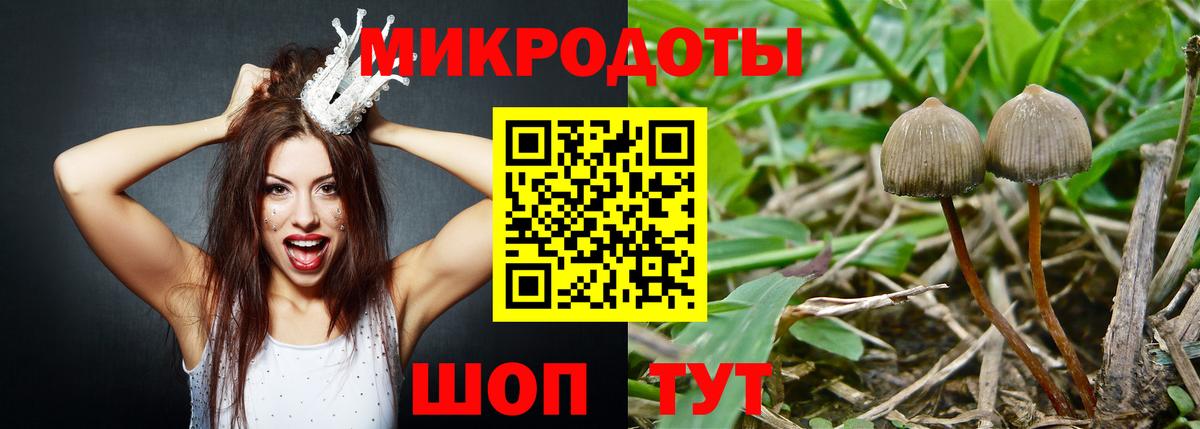 Галлюциногенные грибы прущие грибы Усть-Илимск